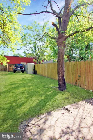 a view of a yard with large tree and wooden fence