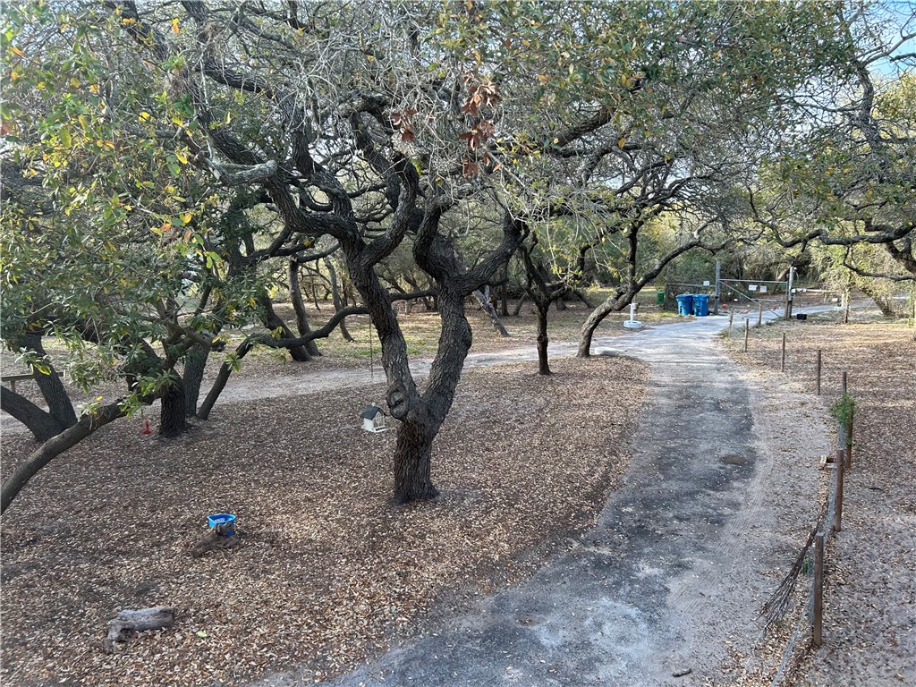2153 6th Street Ingleside, TX 78362 - Photo 24 of 29 a view of some trees in the forest