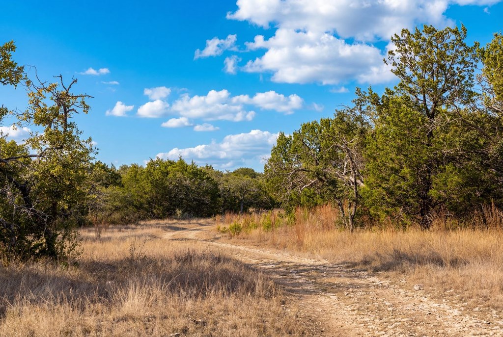 572 Turner Road Menard, TX 76859 - Photo 25 of 44