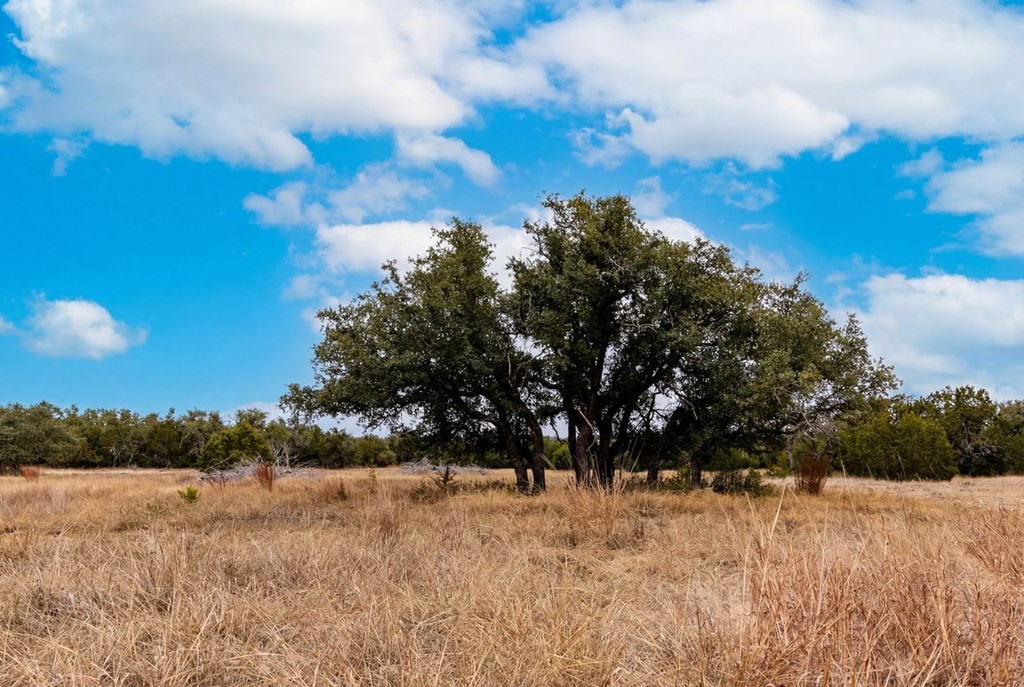 572 Turner Road Menard, TX 76859 - Photo 27 of 44