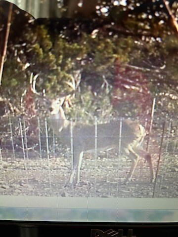 572 Turner Road Menard, TX 76859 - Photo 9 of 44
