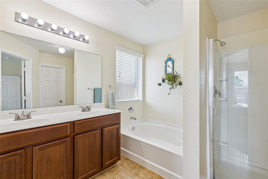 506 Austin Lane Lavon, TX 75166 - Photo 18 of 24 a bathroom with a tub a sink and a mirror