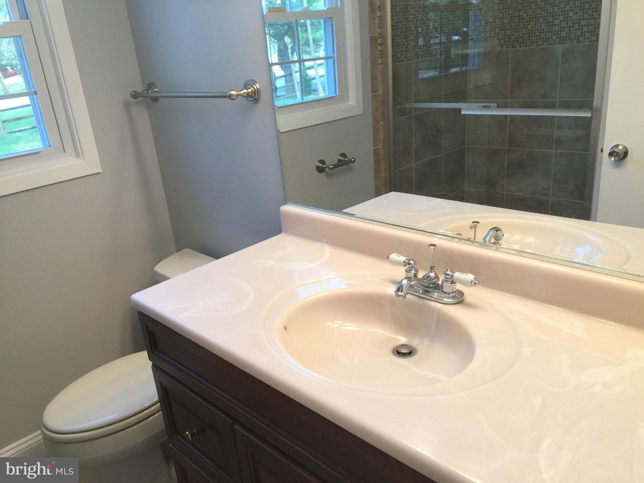 5146 Downwest Ride Columbia, MD 21044 - Photo 18 of 26 a bathroom with a sink a toilet and shower
