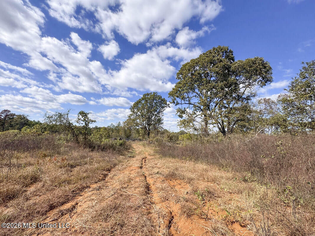 154 County Road Tillatoba, MS 38961 - Photo 38 of 58 4kgrdnyba2-orig_orig