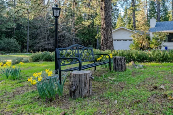 a spacious bedroom with two beds and potted plant with wooden floor