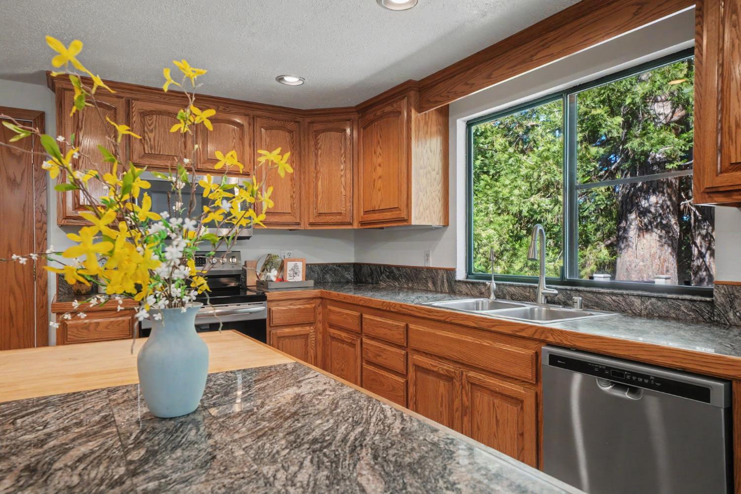 22401 Shake Ridge Road Volcano, CA 95689 - Photo 17 of 79