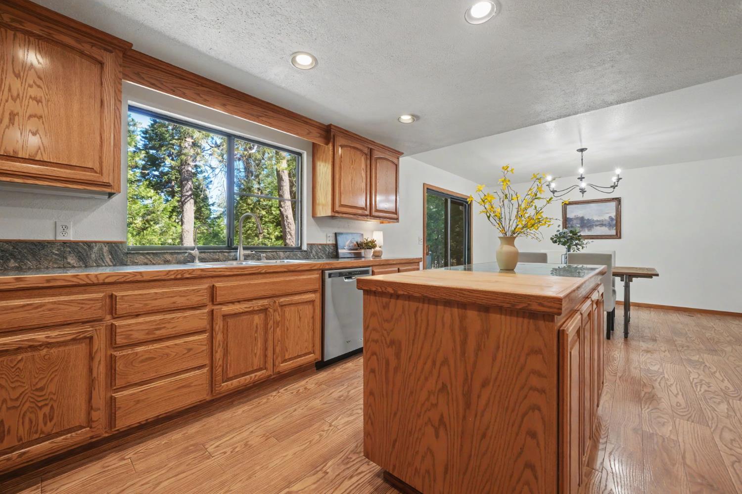 22401 Shake Ridge Road Volcano, CA 95689 - Photo 22 of 79