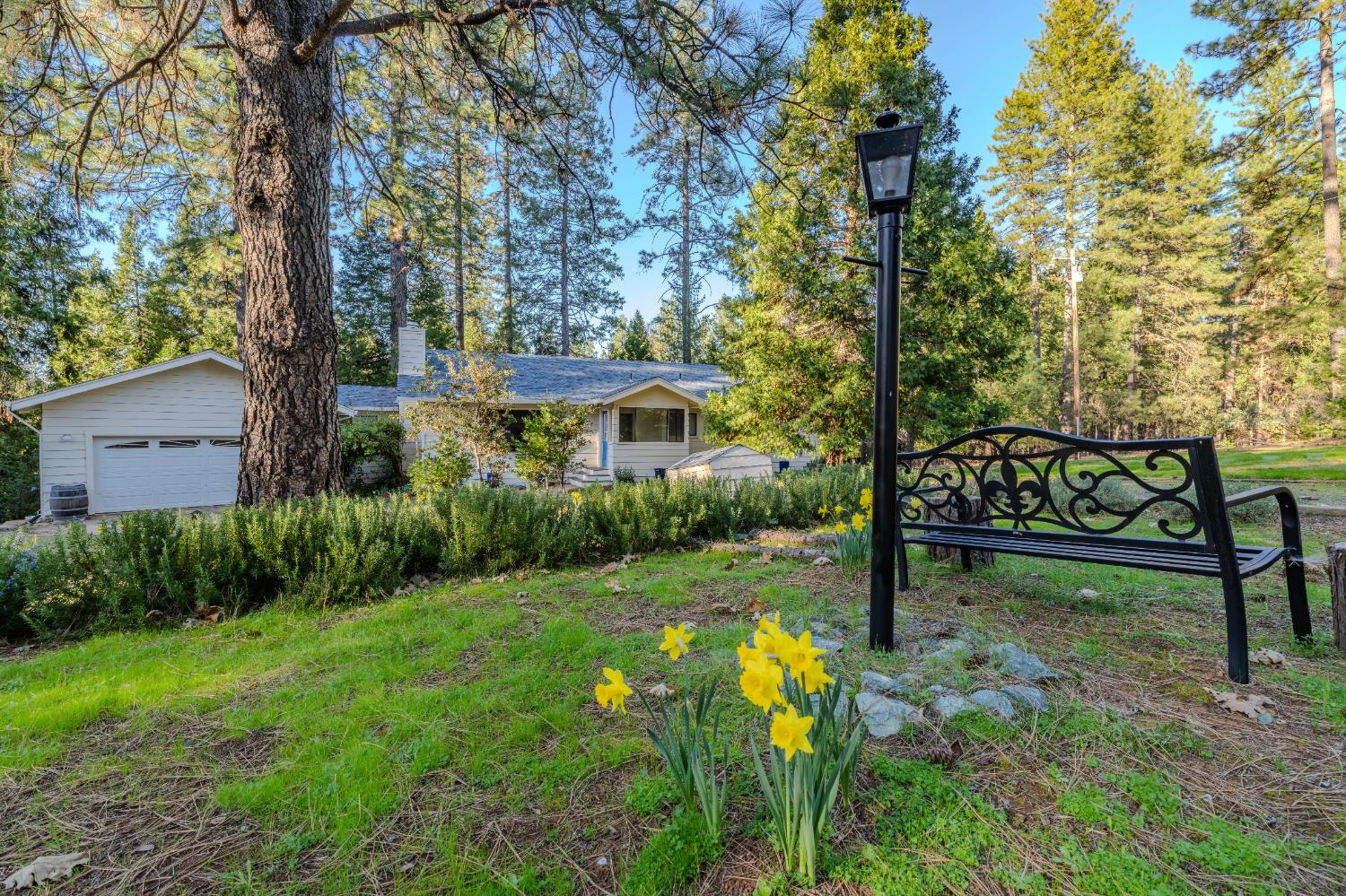 22401 Shake Ridge Road Volcano, CA 95689 - Photo 3 of 79