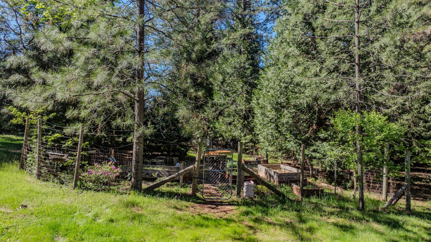 22401 Shake Ridge Road Volcano, CA 95689 - Photo 58 of 79