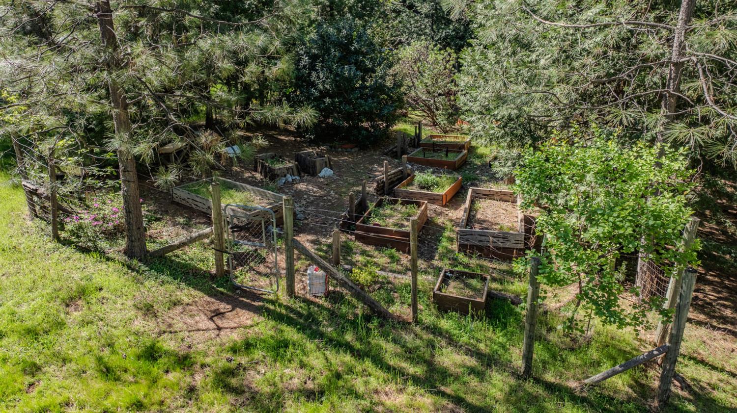 22401 Shake Ridge Road Volcano, CA 95689 - Photo 60 of 79