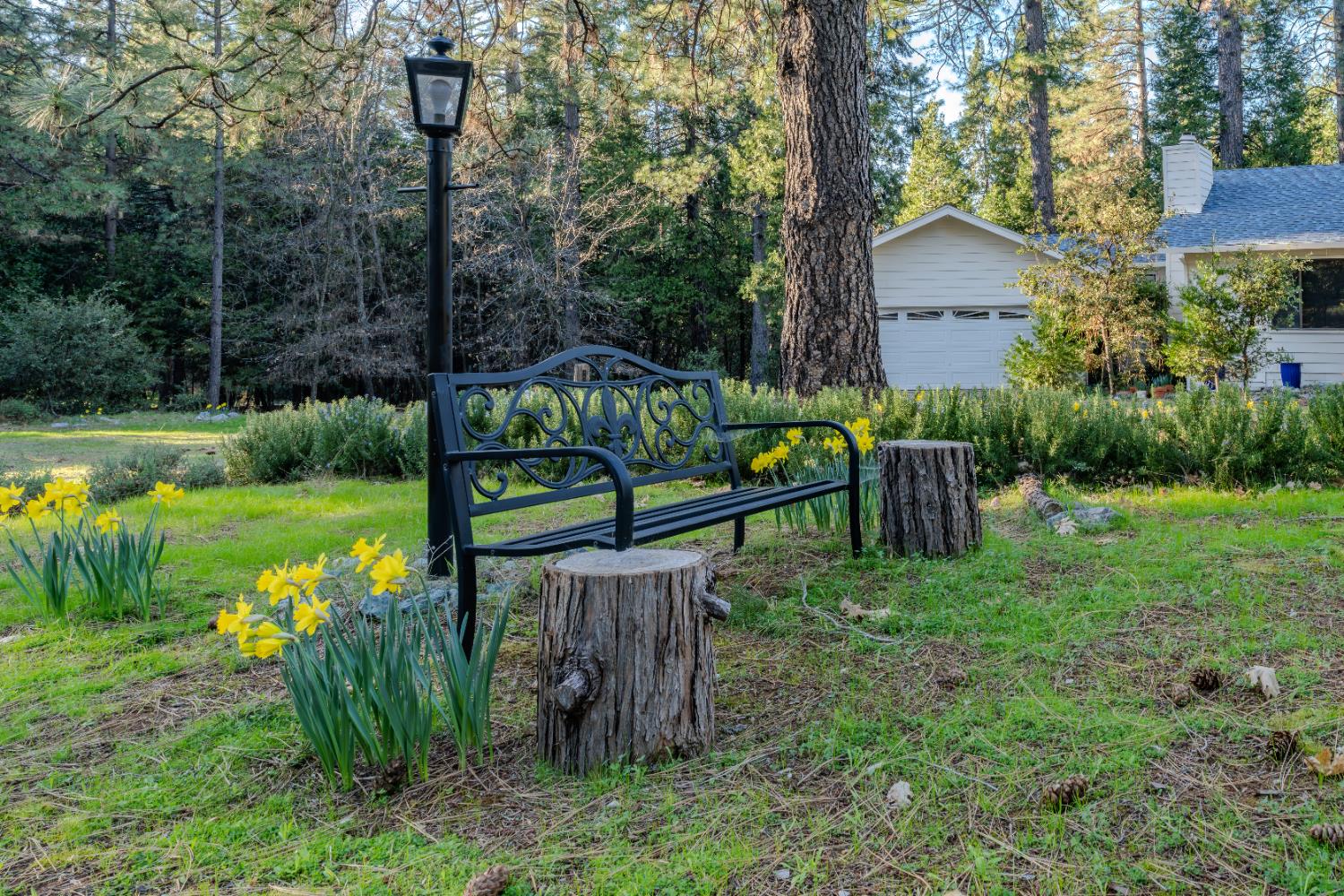 22401 Shake Ridge Road Volcano, CA 95689 - Photo 6 of 79
