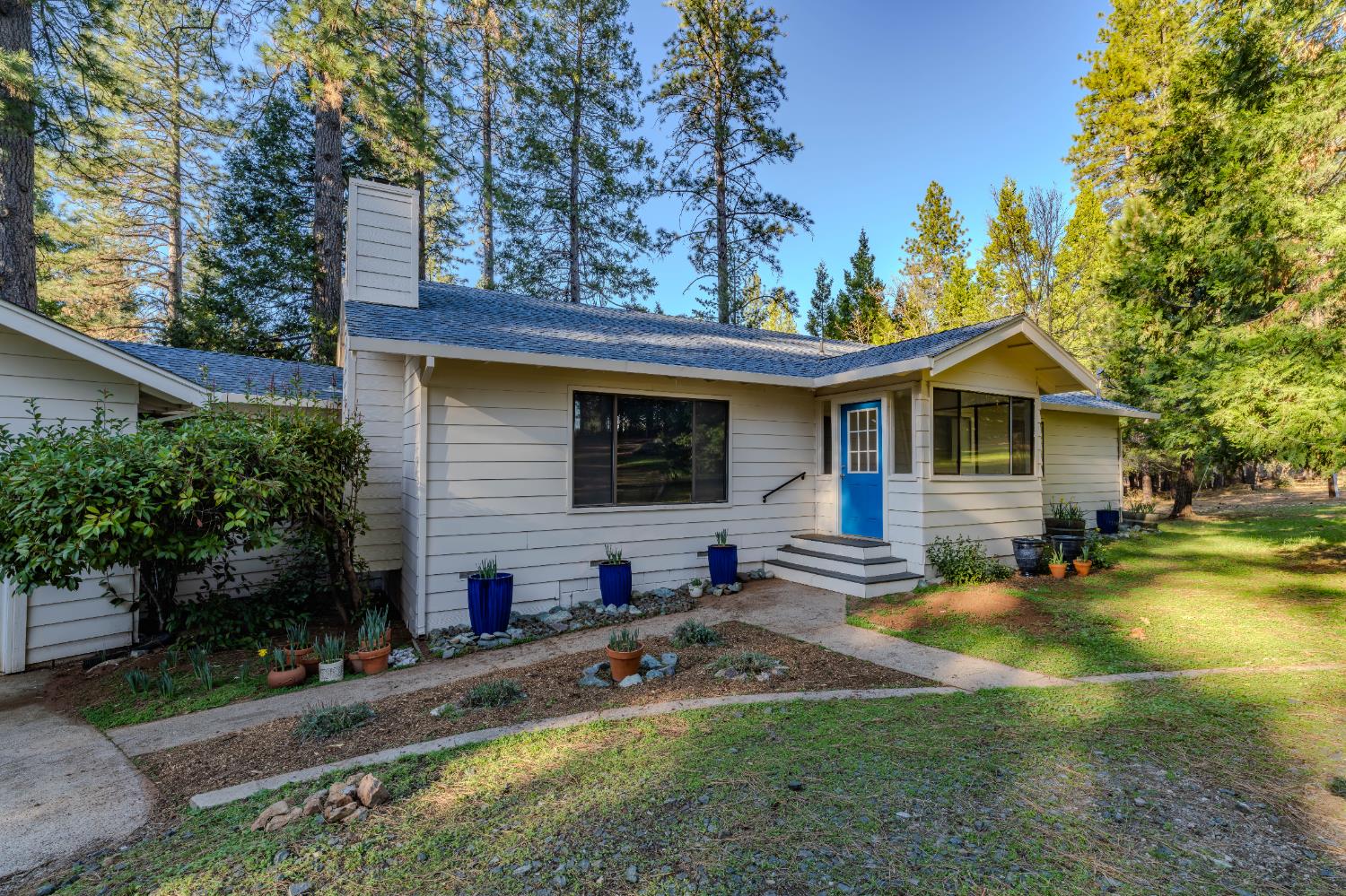 22401 Shake Ridge Road Volcano, CA 95689 - Photo 10 of 79