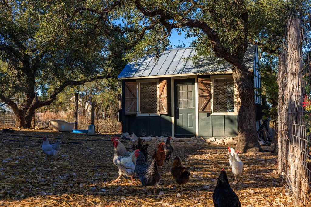 162 Flowering Sage Lane Comfort, TX 78013 - Photo 49 of 74