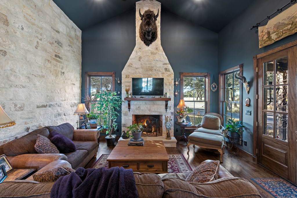 162 Flowering Sage Lane Comfort, TX 78013 - Photo 8 of 74 a living room with furniture fireplace and potted plants