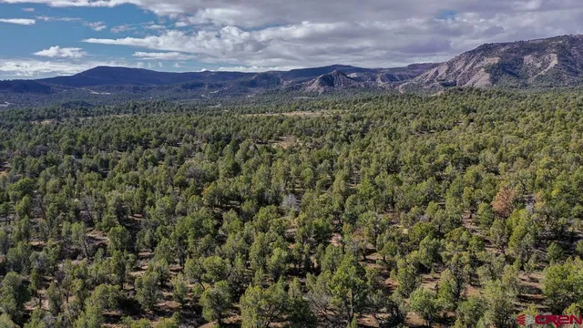 $44,000 | Tbd Green Shadows Road, Durango, CO 81303