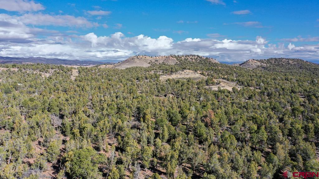 Tbd Green Shadows Road Durango, CO 81303 - Photo 12 of 23 a view of a city