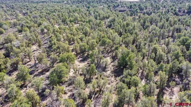$44,000 | Tbd Green Shadows Road, Durango, CO 81303