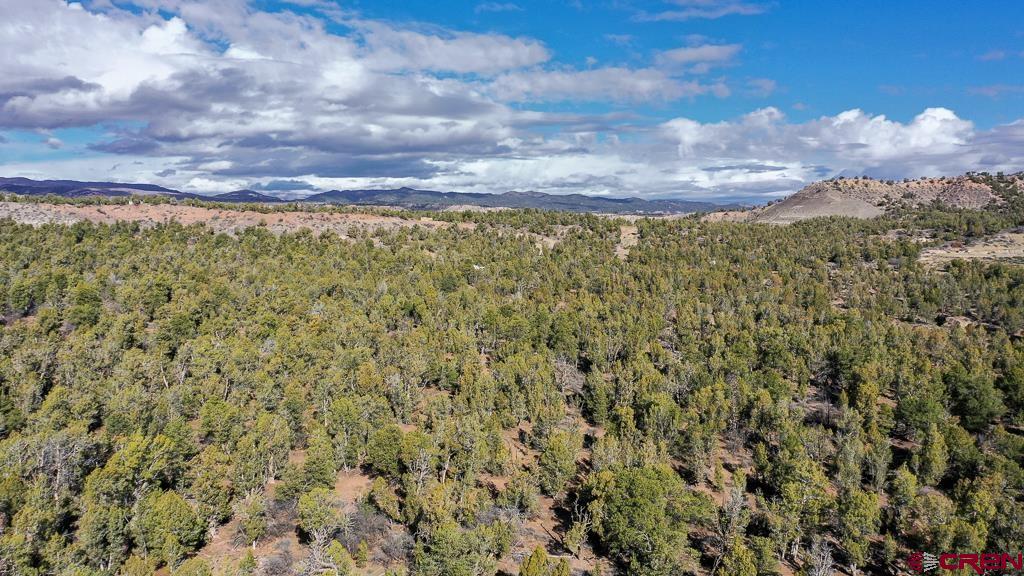 Tbd Green Shadows Road Durango, CO 81303 - Photo 14 of 23