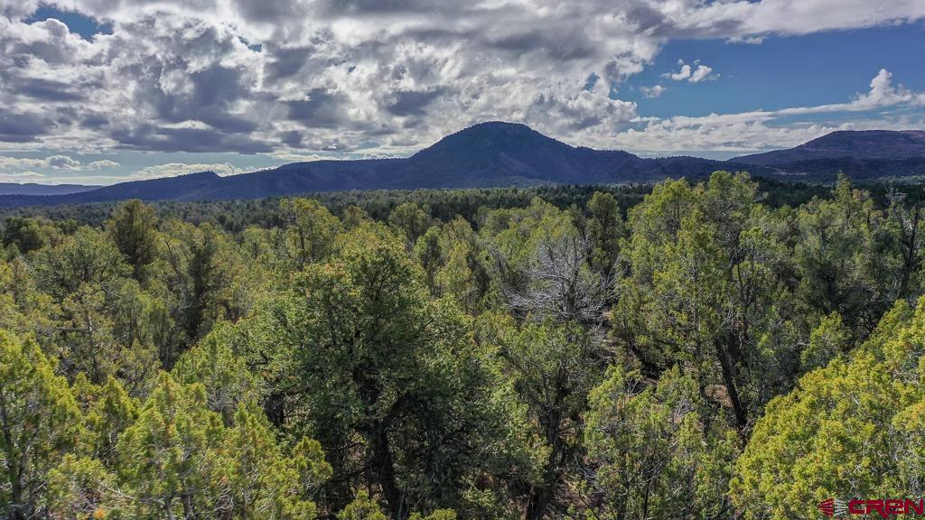 Tbd Green Shadows Road Durango, CO 81303 - Photo 17 of 23 a view of a lot of a house with a yard