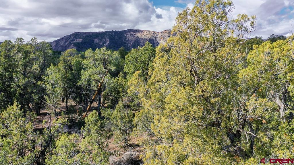 Tbd Green Shadows Road Durango, CO 81303 - Photo 18 of 23