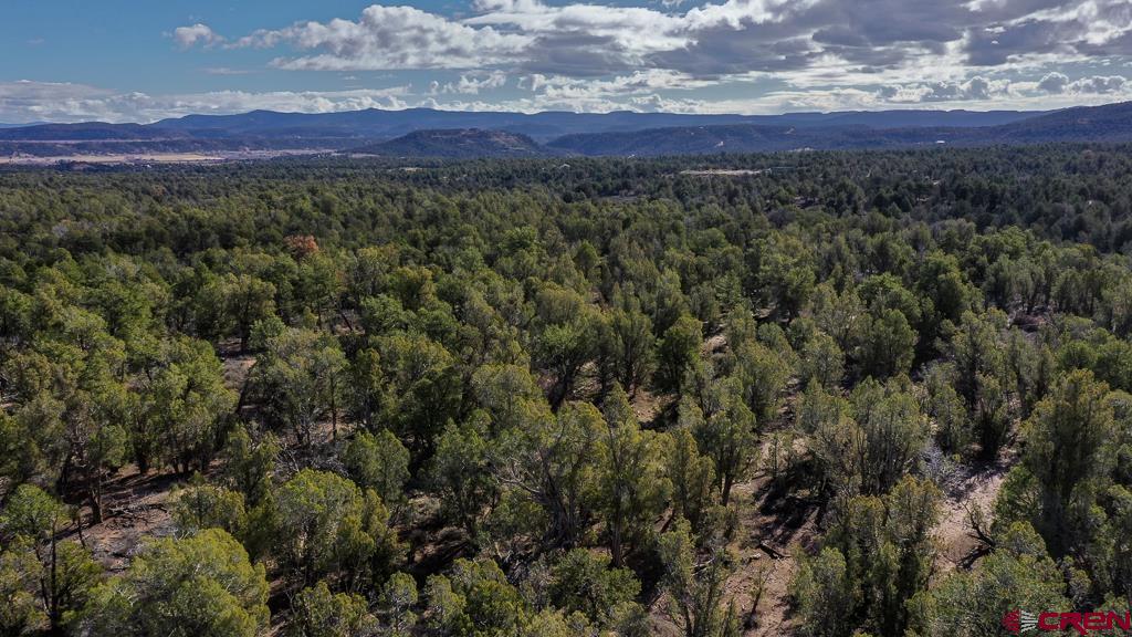 Tbd Green Shadows Road Durango, CO 81303 - Photo 20 of 23 a view of a lush green forest with a house
