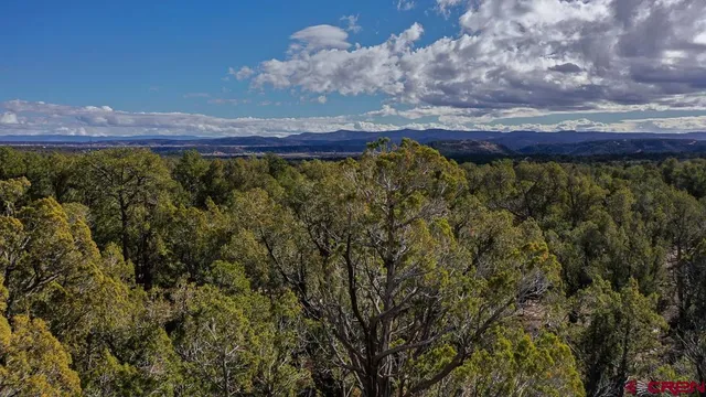 $44,000 | Tbd Green Shadows Road, Durango, CO 81303