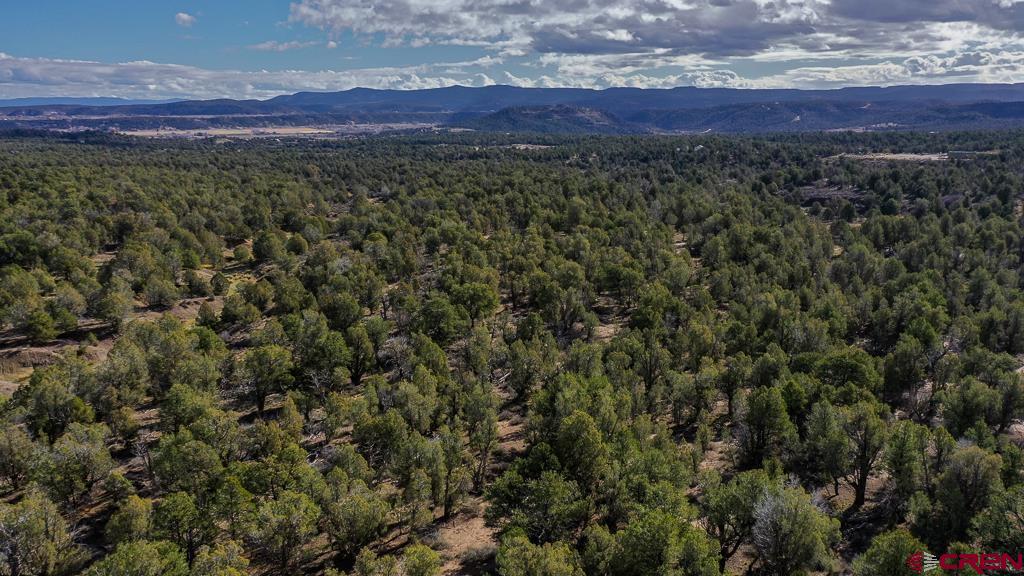 Tbd Green Shadows Road Durango, CO 81303 - Photo 2 of 23 a view of a lush green forest with a mountain in the back