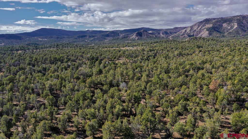 Tbd Green Shadows Road Durango, CO 81303 - Photo 23 of 23 a view of a lush green forest with a mountain in the background