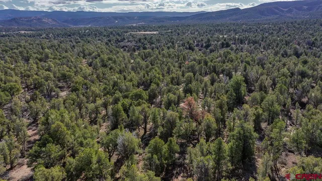 $44,000 | Tbd Green Shadows Road, Durango, CO 81303