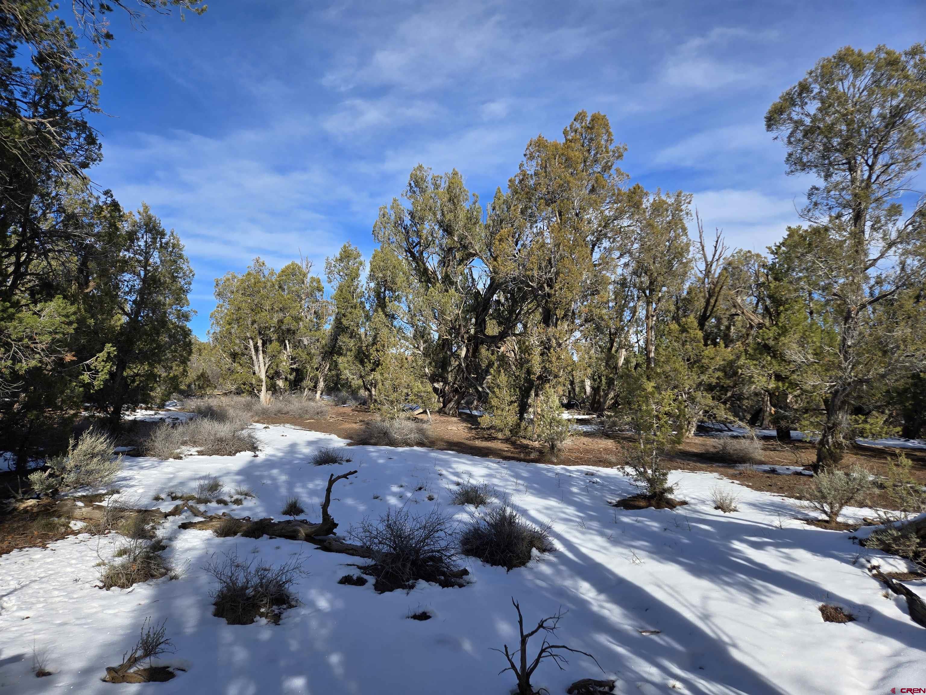 Tbd Green Shadows Road Durango, CO 81303 - Photo 6 of 23 a view of a city