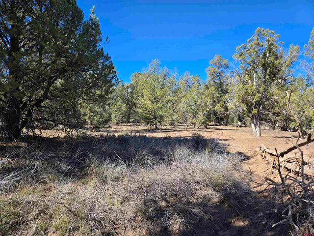 $44,000 | Tbd Green Shadows Road, Durango, CO 81303