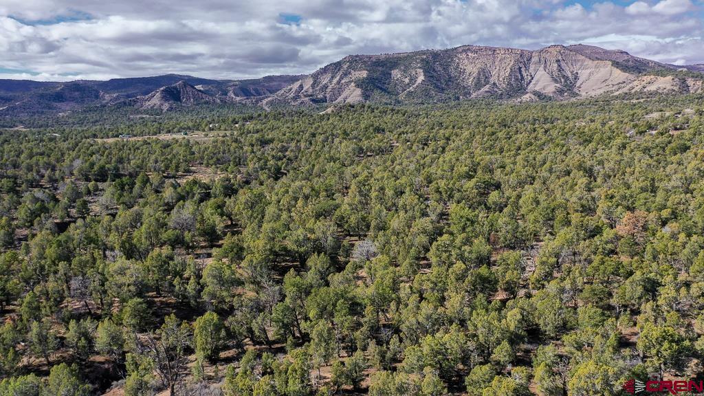 Tbd Green Shadows Road Durango, CO 81303 - Photo 8 of 23 a view of a bunch of trees