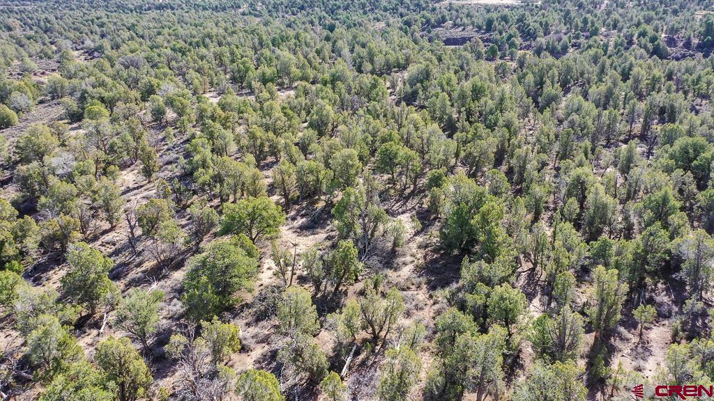 Tbd Green Shadows Road Durango, CO 81303 - Photo 9 of 23 a view of a city with lush green forest