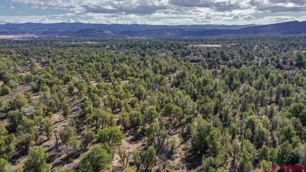 Tbd Green Shadows Road Durango, CO 81303 - Photo 10 of 23 a view of a mountain and a yard