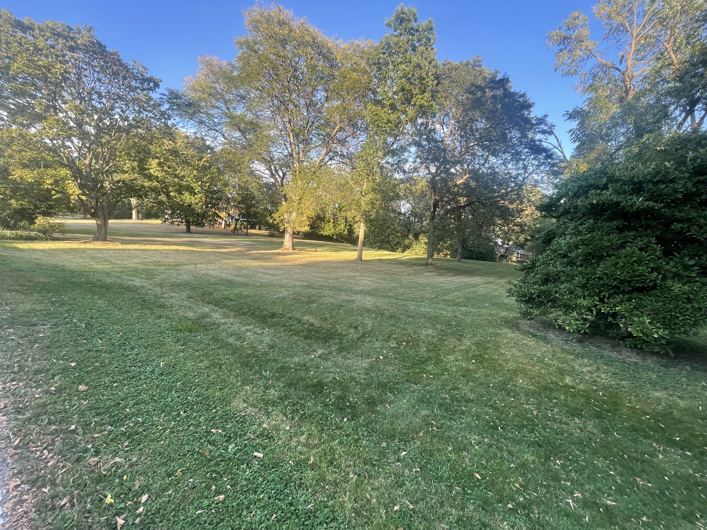 a view of grassy field with trees