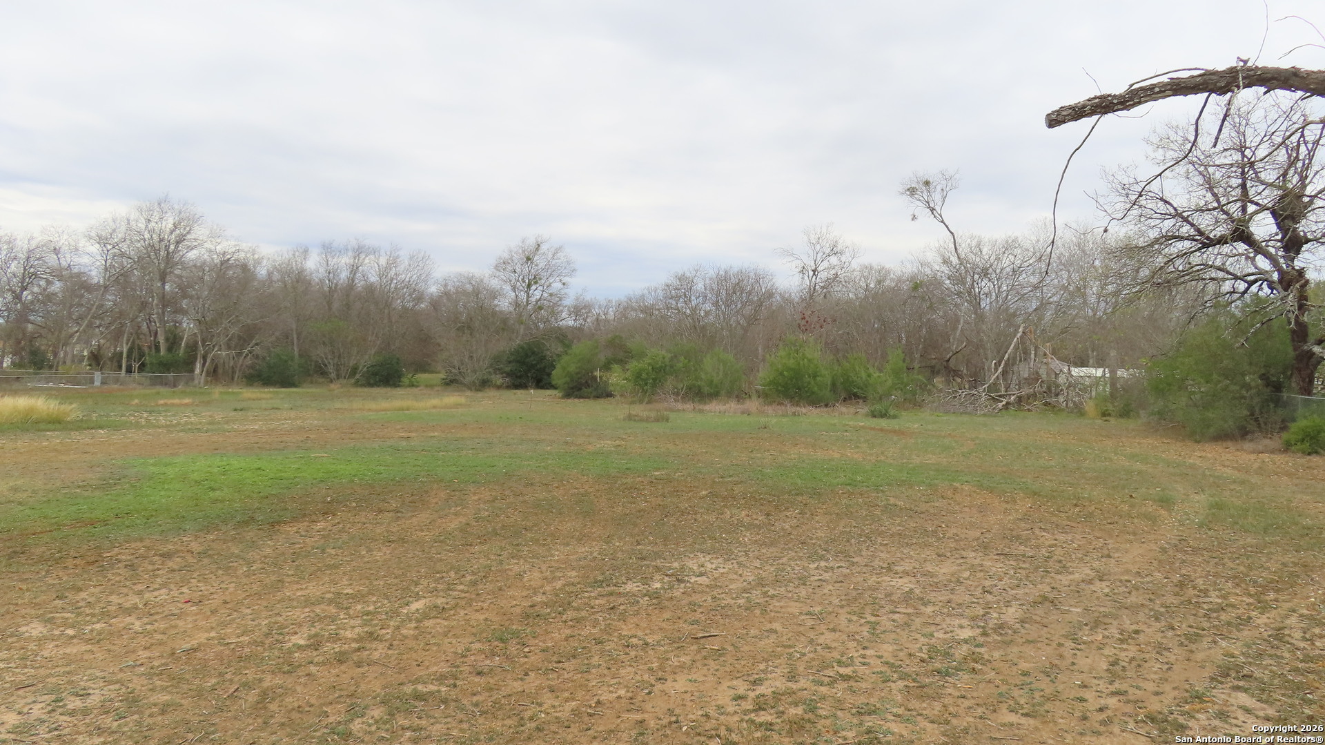 3423 South WW White Road San Antonio, TX 78222 - Photo 18 of 20 a view of a field with large trees