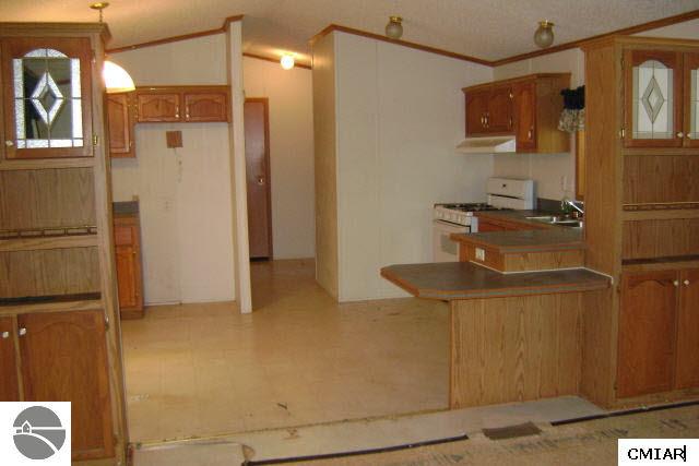 9450 East Rosebush Road Mount Pleasant, MI 48858 - Photo 4 of 7 1770080-3.JPG