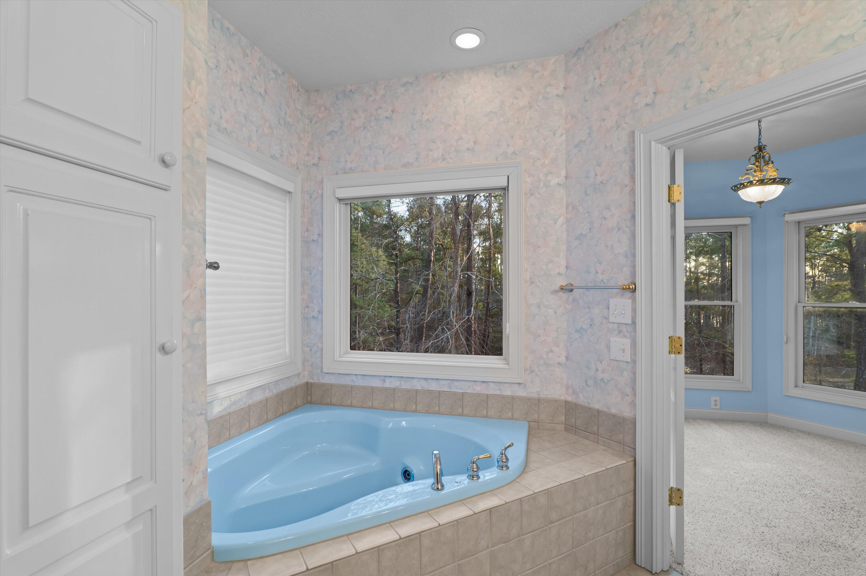 210 Daly Place McCormick, SC 29835 - Photo 22 of 56 Primary bedroom with soaking tub and separate shower