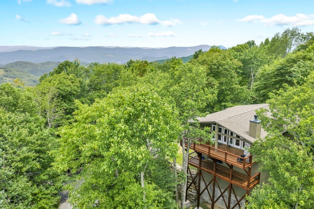 140 Lower Grouse Ridge Road Beech Mountain, NC 28604 - Photo 48 of 50