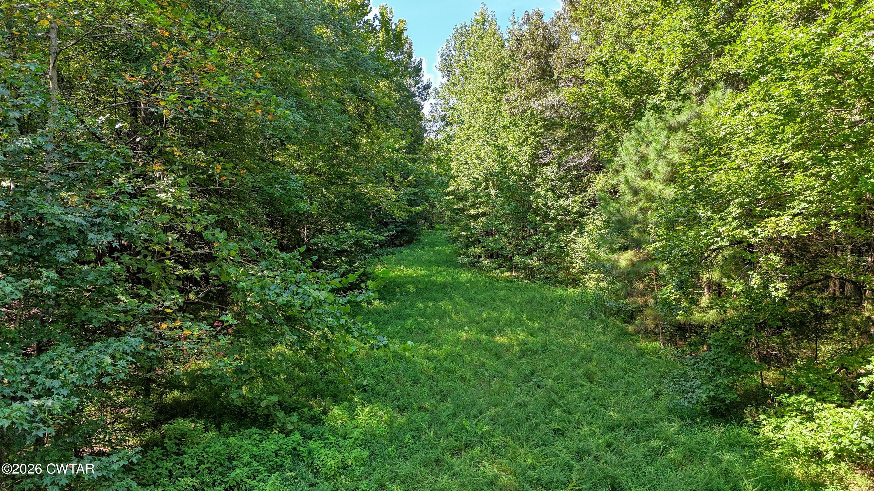 4349 Buena Vista Road Huntingdon, TN 38344 - Photo 61 of 68 DJI_20260825103938_0175_D