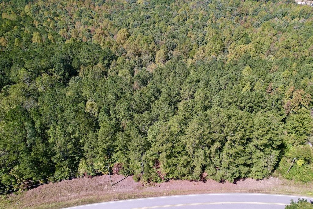 1 Sims Bridge Road Kittrell, NC 27544 - Photo 27 of 30 Photo 27