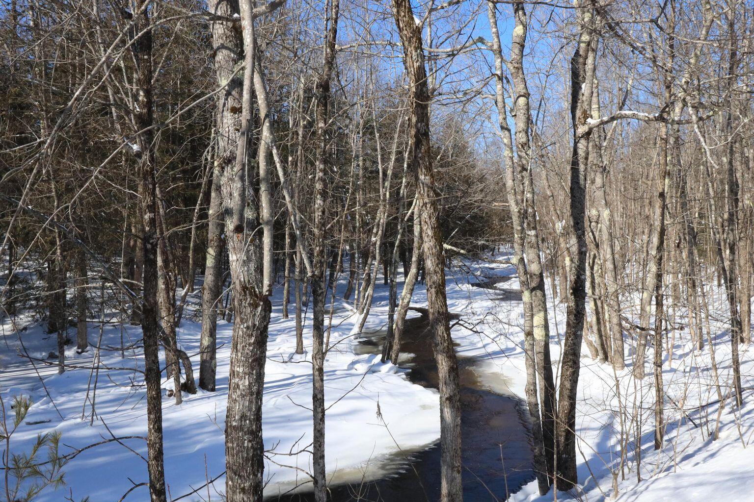 514 Main Road Charleston, ME 04422 - Photo 12 of 14 13