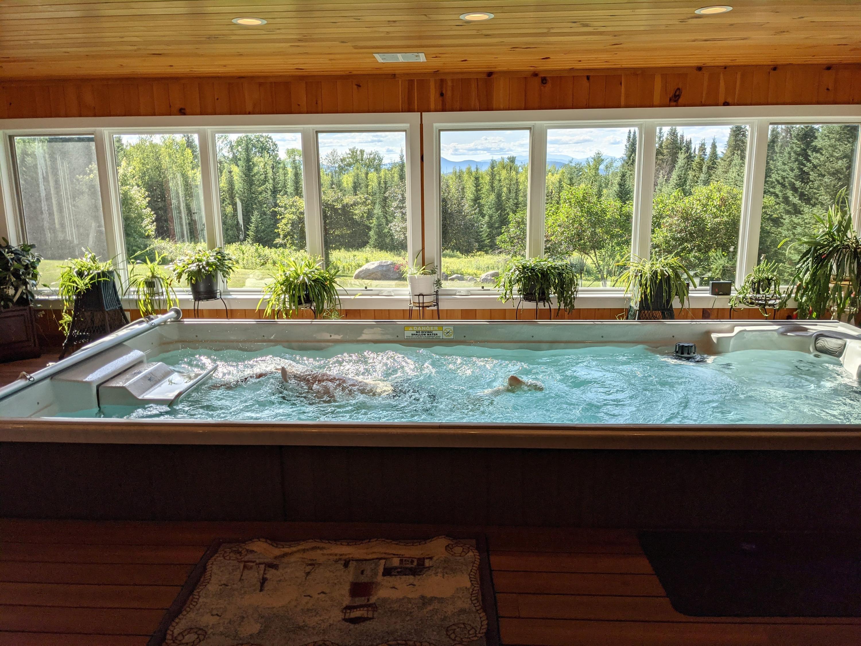 17 Davis Road Denmark, ME 04022 - Photo 63 of 63 Pool in Use