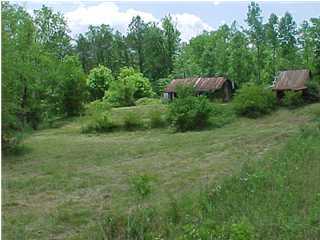 0 Old York Road Cleveland, TN 37323 - Photo 1 of 7 Primary Photo