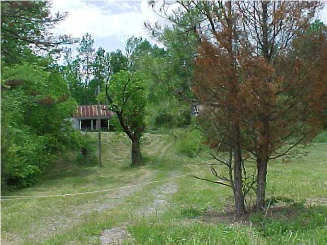 0 Old York Road Cleveland, TN 37323 - Photo 5 of 7 Additional Photo