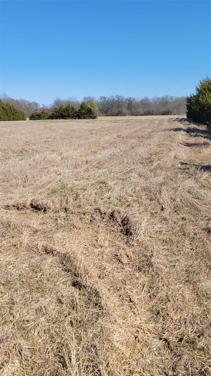 655 Ewing Road Ferris, TX 75125 - Photo 10 of 11 View from Ewing Rd.