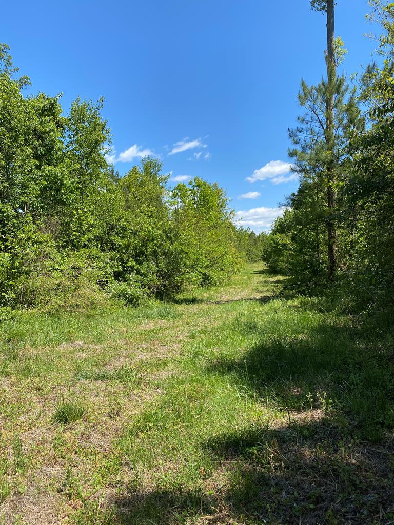 630 Mountain Hall Road, Unit 27D Crewe, VA 23930 - Photo 11 of 39 Gallery Image 11
