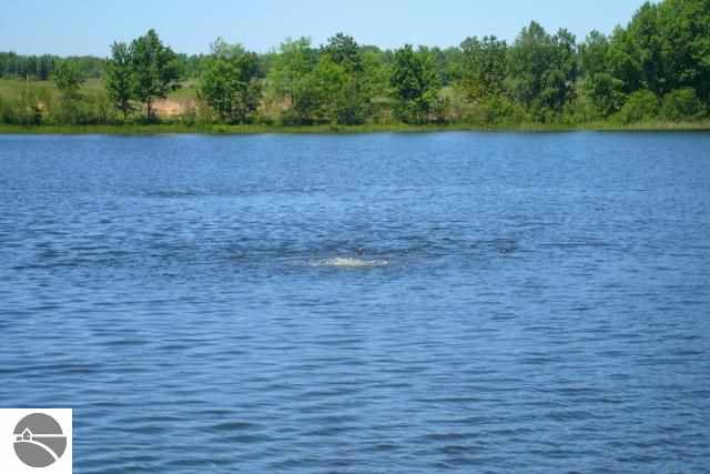 6476 Ingersoll Road Southwest Fife Lake, MI 49633 - Photo 33 of 37 1747546-32.JPG