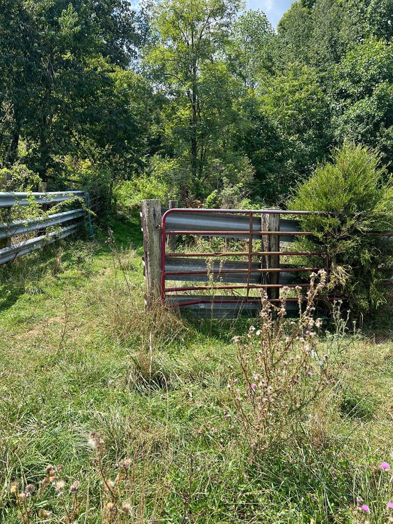 Tbd Romans Ridge Road Honaker, VA 24260 - Photo 50 of 51 Gallery Image 50