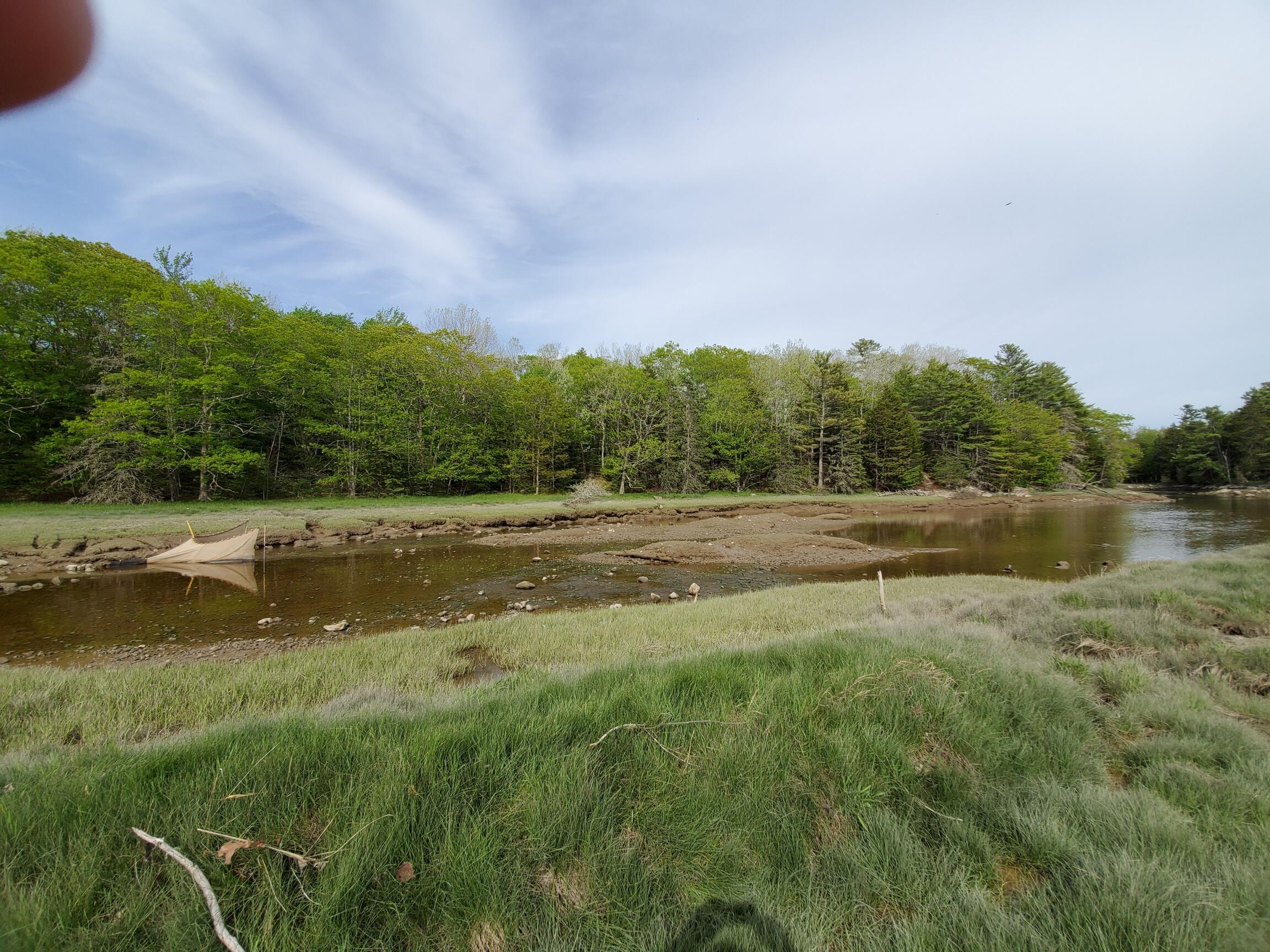 2 Robbins Point Road Gouldsboro, ME 04607 - Photo 31 of 31 low tide